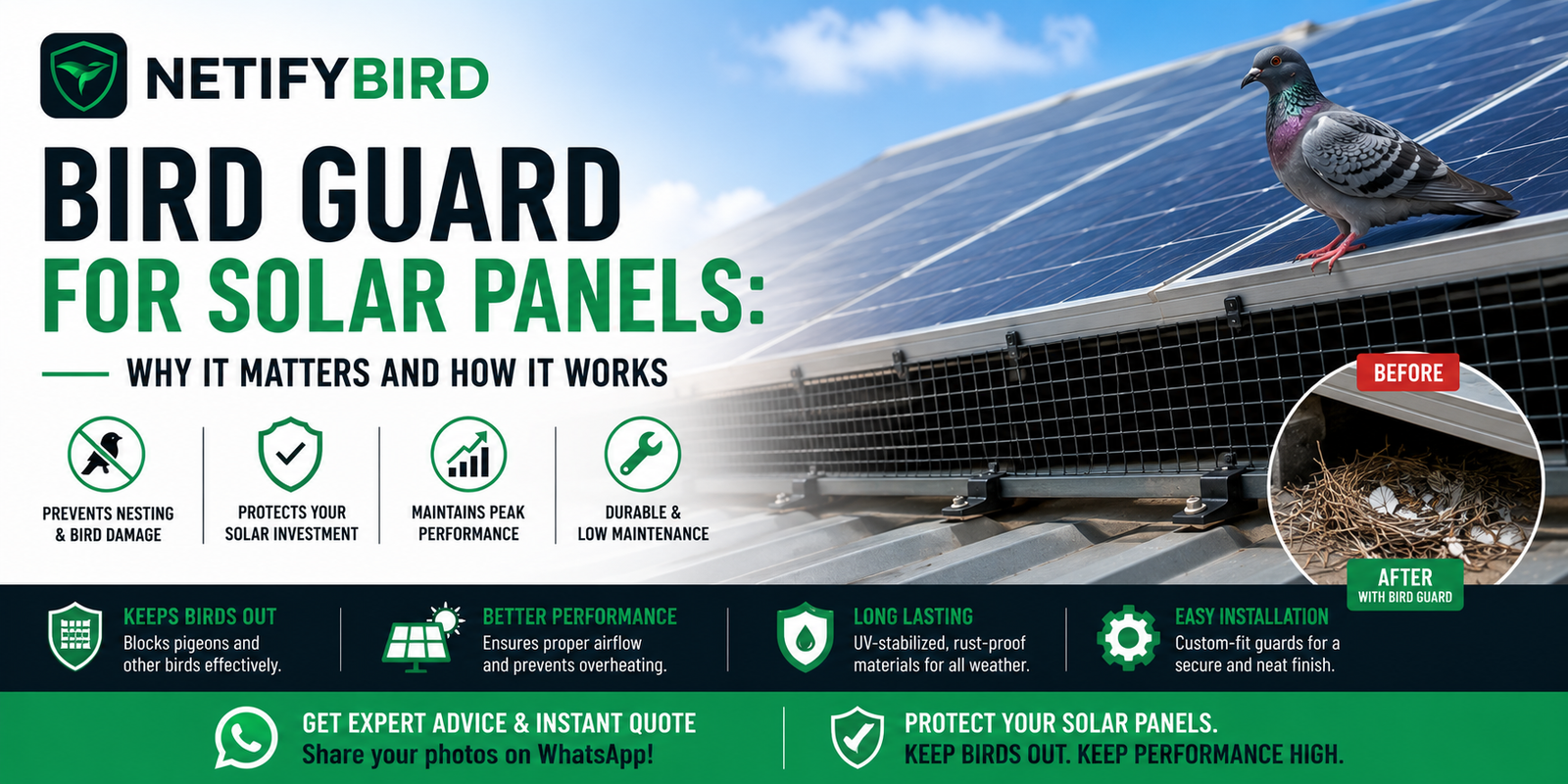 Bird Guard for Solar Panels