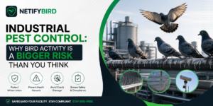 Industrial Pest Control