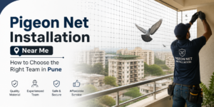 Pigeon Net Installation Near Me