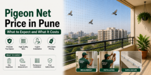Pigeon Net Price in Pune