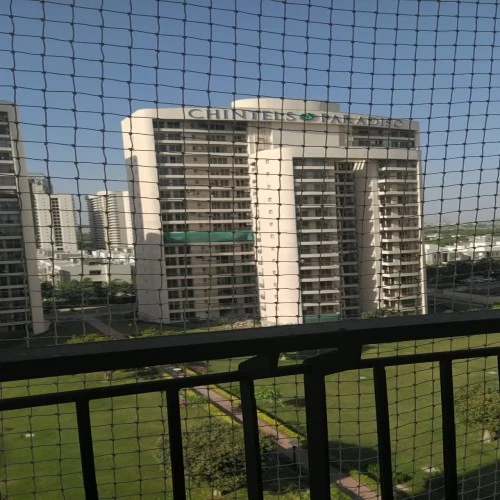 Bird Spikes and Ledge Deterrents